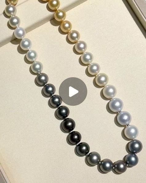 ANNIE CASE FINE JEWELRY on Instagram: "With invisible clasp . Ombré 12-14.5mm Tahitian pearl + Golden South Sea pearl+White South Sea pearl necklace 
Length 47cm 
Dm for inquiries.
@anniecasepearl 
.
.
.
.
.
.
.
.
Ys240127MCN195500
#pearl#pearls#pearljewelry#pearllover#lovepearls#pearladdict#finejewelry#jewelryaddict#jewelryaddiction#anniversarygift#giftforher#birthdaygift#pearlnecklace#southseapearls#tahitianpearlnecklace#goldensouthseapearls#ombrenecklace#goldensouthseapearls#tahitianpearls" South Sea Pearl Necklace, Fine Pearl Jewelry, Tahitian Pearl Necklace, Golden South Sea Pearls, Sea Pearl, South Sea Pearls, Tahitian Pearls, Necklace Length, Pearl White