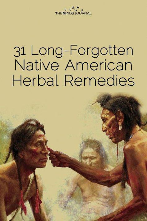 Native American Remedies, Herb Remedies, Natural Healing Remedies, Healing Plants, Herbal Healing, Herbs For Health, Healing Herbs, Natural Health Remedies, Natural Home Remedies