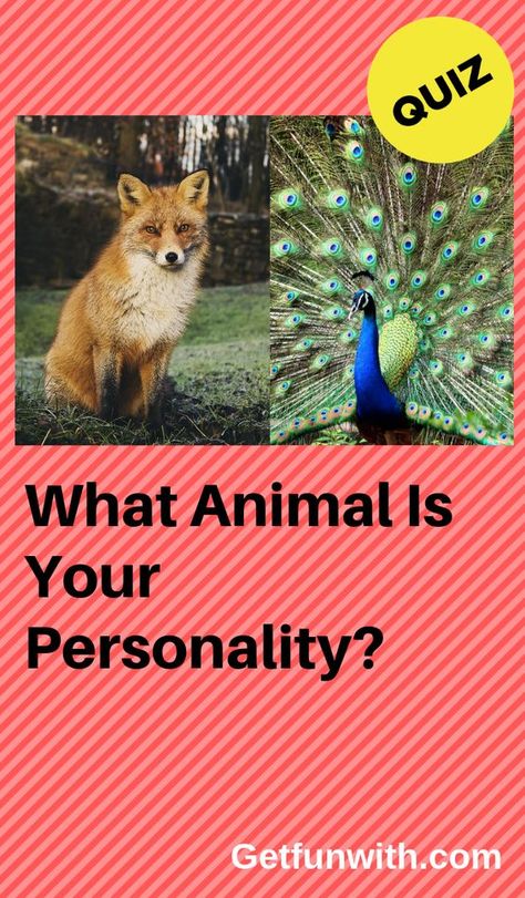 https://www.pinterest.com/pin/986499493357704162/ #quiz #quizzes #buzzfeed #triviaquestionsandanswers #quizzesbuzzfeed #trivia #quizzesforfun #funquiz #spiritanimal Which Animal Are You Quiz, Which Animal Are You, What Animal Am I Quiz, Therian Quiz, Which Aesthetic Are You, What Animal Am I, Spirit Animal Test, What Are You Quiz, Buzzfeed Personality Quiz