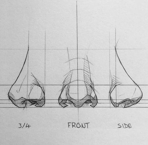 Desen Realist, Výtvarné Reference, Art Sketches Doodles, Nose Drawing, Siluete Umane, Human Anatomy Art, Sketches Tutorial, 인물 드로잉, Pencil Art Drawings