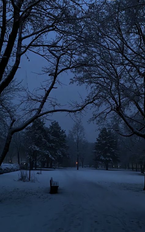 Dark Nature Pictures, Blue Hour Aesthetic Winter, Dark Blue Winter Aesthetic, Snow Vibes Aesthetic, Dark Place Aesthetic, Snowy City Aesthetic, Winter Weather Aesthetic, Snow Aesthetic Dark, Cold Wallpaper Aesthetic