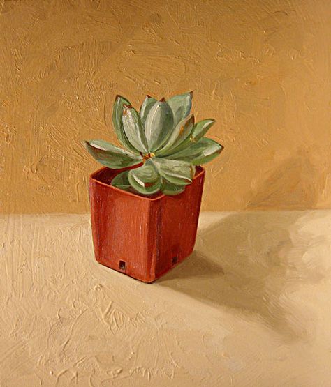 Plant Painting Acrylic, Houseplant Painting, Craig Stephens, Succulent Paintings, Thick Painting, Sparrow Art, Succulent Painting, Acrylic Art Projects, Succulent Art