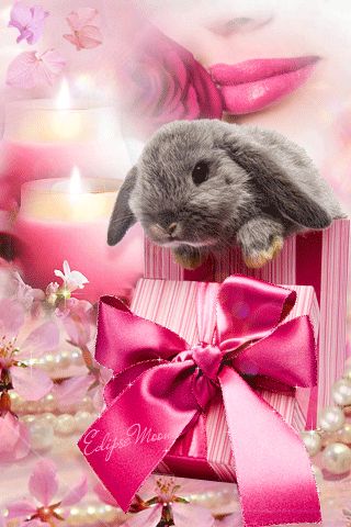 Easter Bunny Pictures, Easter Quotes, Pink Cottage, Easter Images, Easter Pictures, Bunny Pictures, Easter Wishes, Paws And Claws