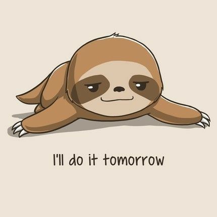 Sloth Ceramic, Cute Animal Quotes, Sloth Art, Funny Iphone Wallpaper, Baby Sloth, Funny Phone Wallpaper, Cartoon Wallpaper Iphone, Cute Sloth, Cute Cartoon Drawings