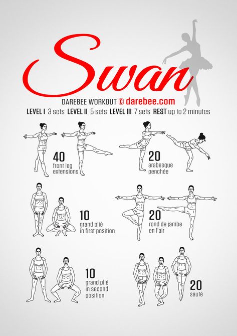 Darebee Workout, Ballet Basics, Ballerina Workout, Ballet Stretches, 100 Workout, Ballet Technique, Ballet Moves, Ballet Workout, Ballet Exercises