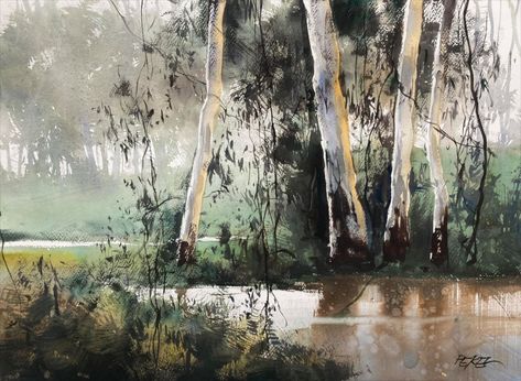 Herman Pekel, Favorite Paintings, Australian Landscape, Fishing Signs, Water Colours, Watercolor Tree, Loose Watercolor, Forest Wallpaper, Watercolor Landscape Paintings