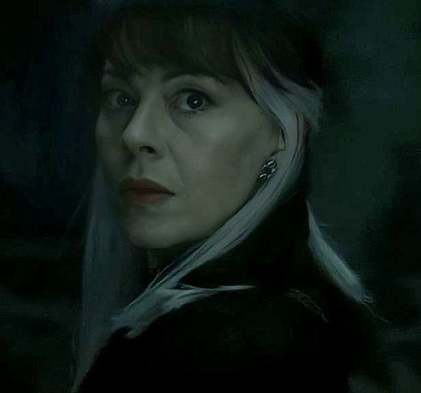 Narcissa Anastasia Malfoy (draco's mum) Enjoy 😉 Harry Potter Narcissa, Kate Todd, Harry Potter Light, Narcissa Malfoy, Harry Potter Groups, Malfoy Family, Black Sisters, Harry Potter Artwork, Harry Potter Quotes