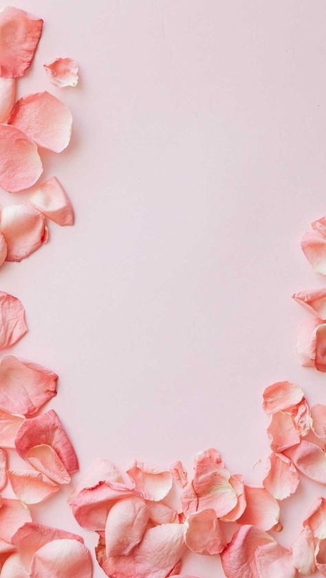 Facial Pictures, Gold Wallpaper Phone, Background Bright, Beauty Salon Design, Flowery Wallpaper, Instagram Background, Pastel Pattern, Flower Iphone Wallpaper, Webpage Design