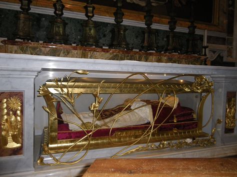 Some of the Popes are in glass coffins in the Basilica Glass Coffin, Roman Culture, Vis Dev, Ancient Romans, Ancient History, Bones, History, Glass, Quick Saves