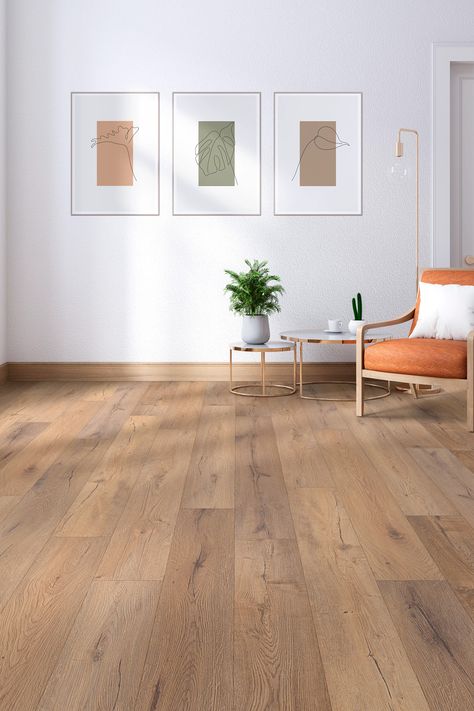 COREtec Originals - Sand Dollar Oak - Customer Pick Vinyl Wood Flooring, Flooring For Stairs, Vinyl Planks, Lvp Flooring, Luxury Vinyl Plank Flooring, Durable Flooring, Vinyl Plank Flooring, Sand Dollar, Plank Flooring