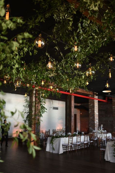 Ceiling Greenery, Wedding Ceiling Decorations, Wedding Ceiling, Ceiling Draping, Wedding Flower Design, Barn Wedding Reception, Garden Floor, Enclosed Patio, Hanging Vines