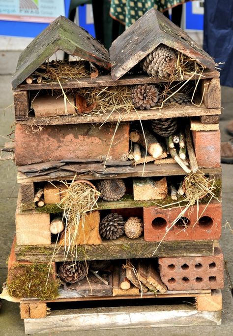 Insect Hotel, Bug Hotel, Garden Bugs, Sensory Garden, Children's Garden, Outdoor Classroom, Pallet Garden, Wildlife Gardening, School Garden