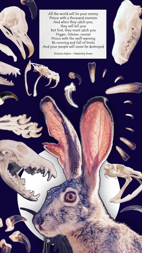 A collage with the central picture being a hare with a torn ear. It is surrounded by bones: a coyote, bird and snakes skulls, claws and fangs. Above everything is a rectangle reading “All the world will be your enemy. Prince with a thousand enemies. And when they catch you, they will kill you. But first, they must catch you. Digger, listener, runner. Princess with the swift warning. Be cunning and full of tricks and your people will never be destroyed. Richard Adams - Watership Down.” Halloween Tattoo Flash, Watership Down, Twilight Fans, Grey Dog, Halloween Tattoos, Flash Tattoo, Art Journal, Bones, Mood Board