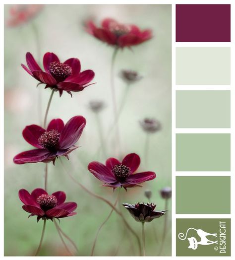 Color Schemes Colour Palettes, Paint Color Palettes, Shabby Chic Bathroom, Design Seeds, Color Palette Design, Color Inspo, Burgundy Wedding, Green Accents, California King