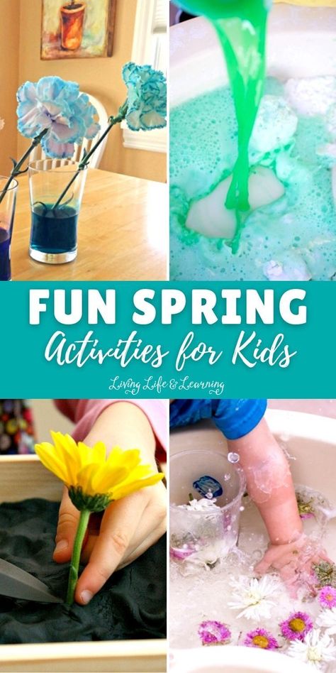 We've found our favorite Spring Activities for kids including science, arts and crafts! These are perfect for outside on sunny days or inside on rainy days. Bring on Spring, my kids can't wait! Spring Day Activities, Fun Spring Activities, Spring Activities For Kids, Child Education, Gross Motor Activities, Spring Activities, Activity Days, Gross Motor, Go Crazy