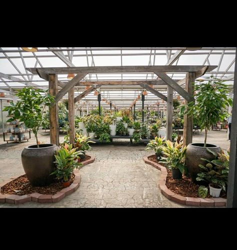 Garden Centre Displays, Garden Center Displays, Garden Centre, Garden Center, Smell Good, Beautiful Gardens, Plants