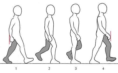 Deconstructing the walk Anatomy Fundamentals, Walking Animation, Walking Poses, Person Drawing, Human Figure Drawing, Animation Sketches, Human Drawing, Drawing Faces, Animation Tutorial