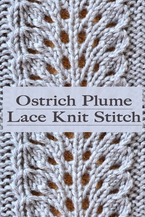 Lace Knit Patterns Free, 4 Row Knitting Patterns, Lacey Knit Stitches, Knitting Lace Patterns Free Charts, Knit Lace Pattern Free, Simple Lace Knitting Patterns, Free Lace Knitting Patterns, Lace Knitting Stitches Free, Knit Lace Stitches