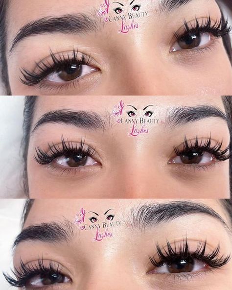 Anime Style Wispy Lashes, Full Anime Lash Extensions, Yy Wispy Lashes, Spiky Lashes Extensions, Rose Wisp Lashes, Asian Lash Extensions Mapping, Spike Cat Eye Lash Extensions, Anime Style Eyelash Extensions, Anime Set Lash Extensions