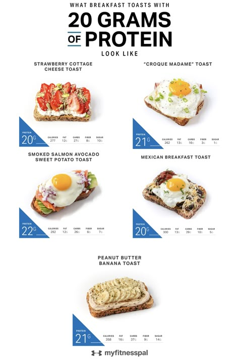 Diet High In Protein, 20grams Of Protein Breakfast, High Protein Meals With Avocado, Light Low Calorie Meals, Best Breakfast Protein, Protein Breakfast Low Calorie, High Calorie And Protein Breakfast, High Energy Breakfast Ideas, 20 Grams Protein Breakfast