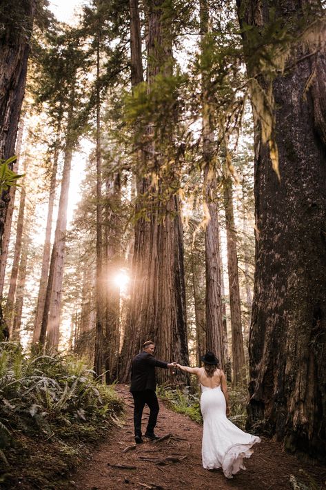 intimate wedding ceremony in the redwood forest | adventure wedding photographer | redwoods national park elopement | www.thehearnes.com Redwoods National Park, Redwoods Wedding, Redwood Wedding, Forest Adventure, National Park Elopement, Wedding Picture Poses, Intimate Wedding Ceremony, Park Elopement, Redwood Forest