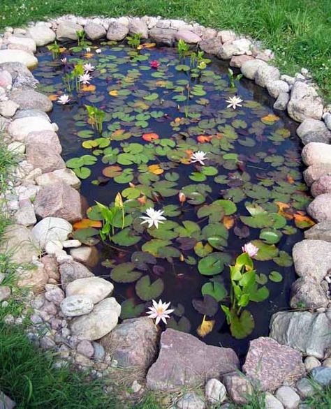 21 Garden Design Ideas, Small Ponds Turning Your Backyard Landscaping into Tranquil Retreats Tranquil Backyard, Kolam Koi, Garden Pond Design, Pond Water Features, Pond Fountains, Pond Landscaping, Piscina Natural, Pond Design, Ideas Backyard