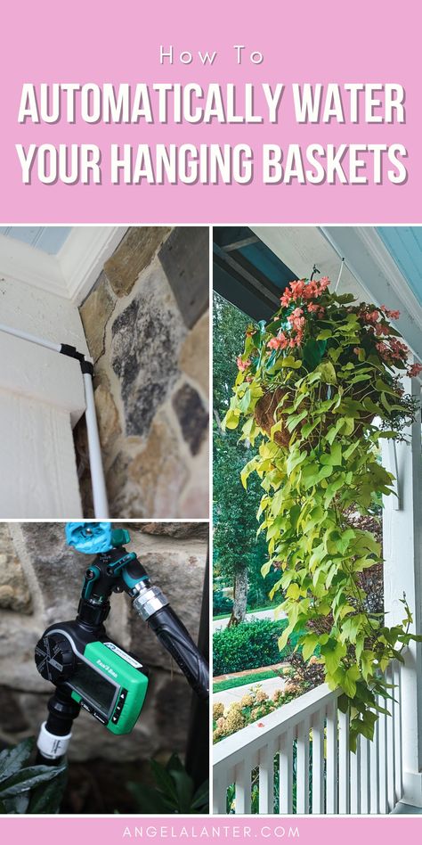 If you have hanging baskets or outdoor plants on your patio or around your backyard or pool area, this is a very inexpensive way to automatically water them. It’s a set it and forget it method, sorta like a crockpot lol. Water Plants Tutorial, Angela Lanter DIY. Sprinkler System Diy, Hanging Baskets Diy, Outdoor Potted Plants, Potted Plants Patio, Plant Watering System, Angela Lanter, Porch Plants, Potted Plants Outdoor, Patio Pots