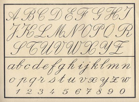 Vintage cursive alphabet~Unfortunately, Children do Not Learn this in School Anymore. No Penmanship Classes in Schools.  Did you ever see how Poorly they Write? Handwritten Alphabet, Vintage Cursive, Alphabet Cursif, Cursive Fonts Alphabet, Childrens Alphabet, Cursive Writing Worksheets, Cursive Alphabet, Alfabet Letters, Cursive Handwriting