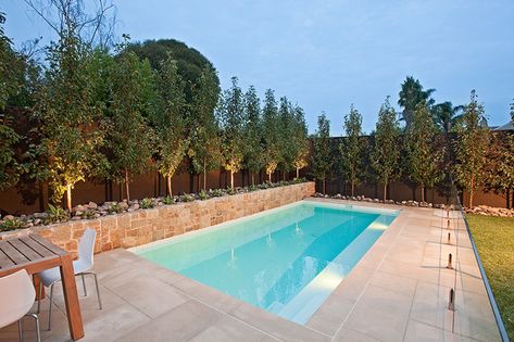 Backyard Australia, Poolside Plants, Pool Colours, Pool Concrete, Pool Paving, Kleiner Pool Design, Concrete Swimming Pool, Yard Makeover, Pool Inspiration