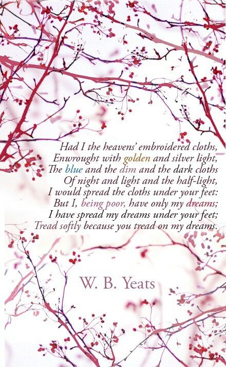 Tread softly...  ~Yeats Tread Softly For You Tread On My Dreams, He Wishes For The Cloths Of Heaven, Wb Yeats, W B Yeats, William Butler Yeats, Under Your Spell, Poetic Words, Beautiful Poetry, Poems Beautiful