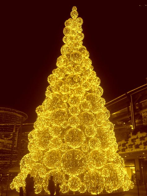 ---Photo taken by a mobile phone--- Amazing Christmas Trees, Yellow Christmas, Christmas Beauty, Gold Christmas Tree, Beautiful Christmas Trees, Christmas Tree Themes, Christmas Tree Lighting, Christmas Aesthetic, Gold Christmas