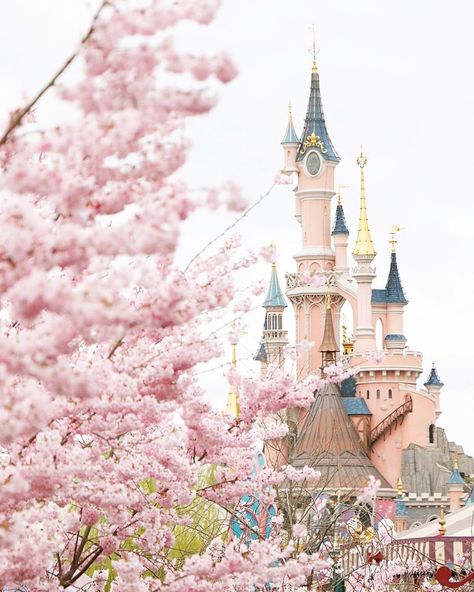 Emma Hayward 🌸 on Instagram: “Happy first day of Spring 🌸🌸🌸 I’ve posted one of my @disneylandparis blossom photos on the first day of spring since 2017 when these photos…” Paris Aesthetic Pink, Disneyland Paris Aesthetic, Paris Aesthetics, Emma Core, Pretty Backrounds, Angelic Aesthetic, 하울의 움직이는 성, Happy First Day Of Spring, Enchanted Castle