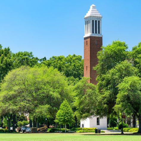 Tuscaloosa Alabama Things To Do In, Transcendent Kingdom, Alabama Tuscaloosa, Bama Rush, Alabama College Football, Alabama College, Alabama Vacation, Tuscaloosa Alabama, Alabama Travel