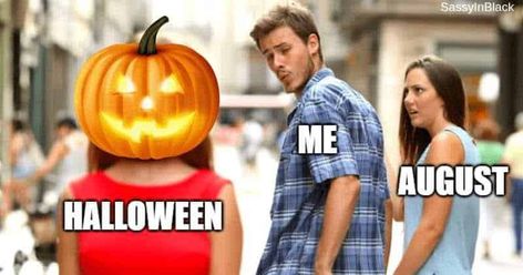 Halloween Movies In Order, Funny Halloween Memes, Friday Halloween, Scary Tales, Fall Meals, Fall Memes, Pumpkin Queen, Halloween Memes, Monday Memes