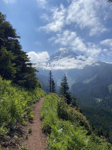 Oregon Hiking, Mount Hood Oregon, Mount Hood National Forest, Amazing Scenery, Mount Hood, Scenic Photos, Pretty Landscapes, Oregon Travel, Oregon Usa