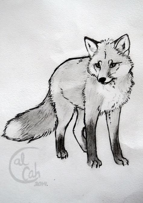 Fox sketch Fox Sketch, Art Du Croquis, Fox Artwork, Art Fox, Fox Drawing, Animal Drawings Sketches, Fox Pictures, Fox Tattoo, Tattoo Sketch