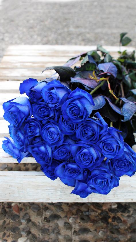 <p>Send a beautiful bouquet of blue roses. Choose quantity.</p> Blue Roses Wallpaper, Most Beautiful Flowers, Luxury Flowers, Beautiful Rose Flowers, Rose Wallpaper, Blue Roses, Birthday Flowers, Beautiful Bouquet, Blue Rose