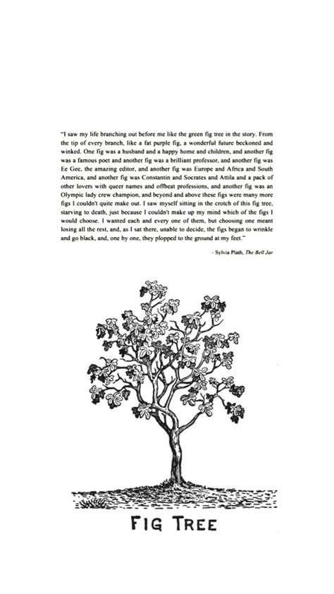 #fig #tree #sylviaplath