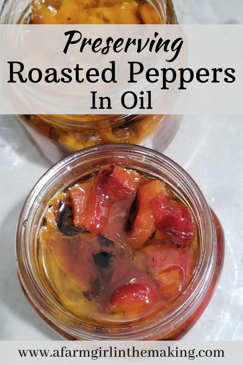 Preserving roasted peppers, or preserving chilis, in olive oil is a traditional method to preserve the harvest. Consisting of two ingredients and a little effort, this method is beyond delicious. In addition to preserving in oil, you'll also find recipes for canning peppers. #canningpeppers #roastedpeppers #preservingpeppers #peppersinoil Preserve Peppers In Oil, Roasted Peppers In Olive Oil And Garlic, How To Preserve Bell Peppers, Canning Italian Peppers, Canned Peppers In Oil, Preserving Roasted Red Peppers, Canning Red Peppers, Preserving Peppers In Oil, Roasted Red Peppers In Oil