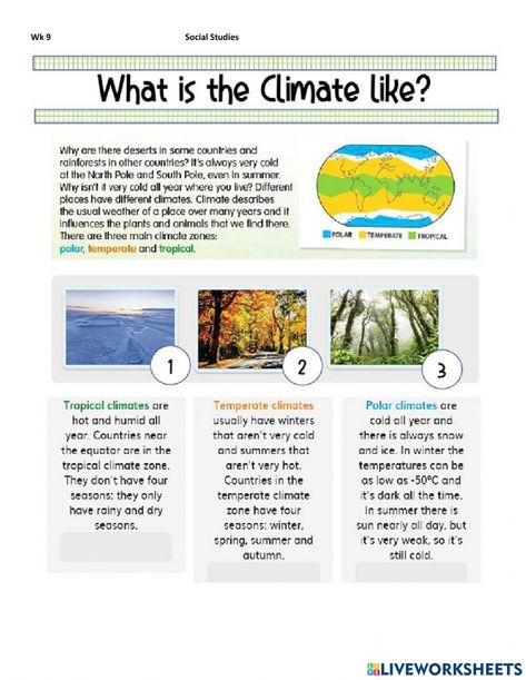 Climate zones activity Weather Vs Climate, Change Worksheet, Climate Activities, What Is Climate, Teaching Weather, Earth Science Lessons, Halloween Parejas, Polar Climate, Climate Zones