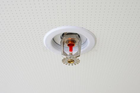 Fire sprinkler. Automatic fire sprinkler installed on ceiling for fire fighting , #Sponsored, #Automatic, #sprinkler, #Fire, #fire, #fighting #ad Fire Sprinkler System, Fire Protection System, Fire Sprinkler, Facility Management, Care Facility, Fire Protection, Sprinkler System, Nursing Home, Fire Safety