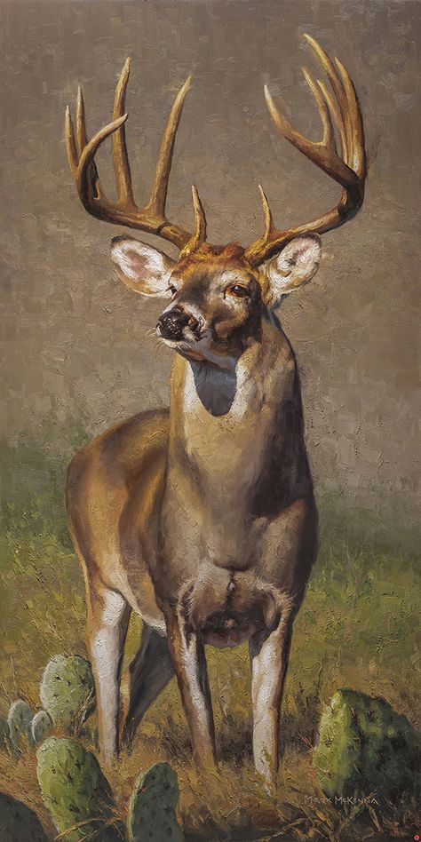 Whitetail Deer Photography, Elk Drawing, Mark Mckenna, Whitetail Deer Pictures, Deer Photography, Whitetail Deer Hunting, Deer Artwork, Big Deer, Deer Drawing