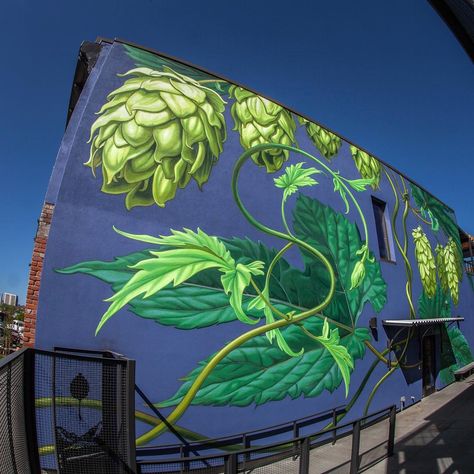 Mona Caron no Instagram: “#hops #luppolo #lupulus #hopfen, creeping up and around the corner... Been painting this while steeped in the floral aroma of fresh hops…” Flower Wall Painting, Exterior Murals, Brewery Design, Beer Wall, Garden Mural, Tropical Painting, Beer Art, To My Friends, Amazing Street Art