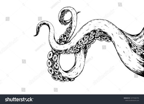 tentacles octopus drawing on white backgroundoctopus#tentacles#drawing#background Octopus Tentacles Drawing, Octopus Art Drawing, Octopus Tentacles Art, Tentacle Tattoo, Octopus Artwork, Octopus Legs, Kraken Art, Boat Logo, Tentacle Art