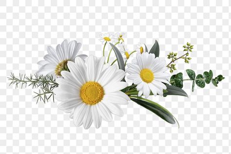 White Flower Png, Flower Bouquet Png, Flower Png Images, Logo Fleur, Photo Elements, Flower Graphic Design, Flower Drawing Design, Fire Flower, Black And White Art Drawing