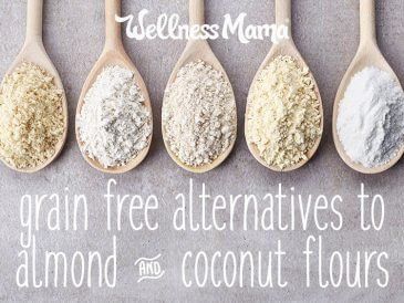 Other grain free alternaties to almond and coconut flour Almond Flour Substitute, Grain Free Bread, Almond Flour Pancakes, Flour Substitute, Flour Alternatives, Wellness Mama, Lectin Free, Cassava Flour, Autoimmune Paleo