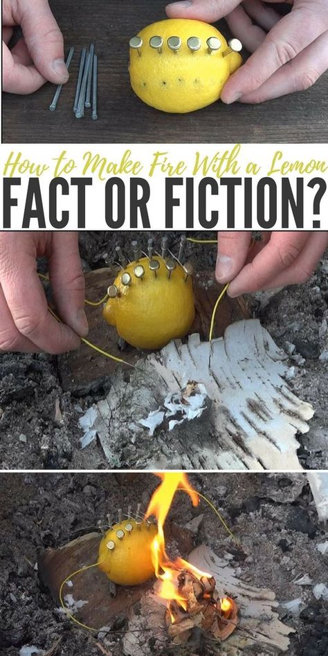 Camping Hack: How to Make Fire With a Lemon (Fact or Fiction?) | DIY Fire Hack | Campfire Trick | Natural Campfire Starter | Fire Starter for Survival | How to Make a Fire Starter with Lemons Camping Hack, Camping Fire Starters, Make A Fire, Fact Or Fiction, How To Make Fire, Survival Life Hacks, Fire Starter, Survival Techniques, Tile Shower Ideas