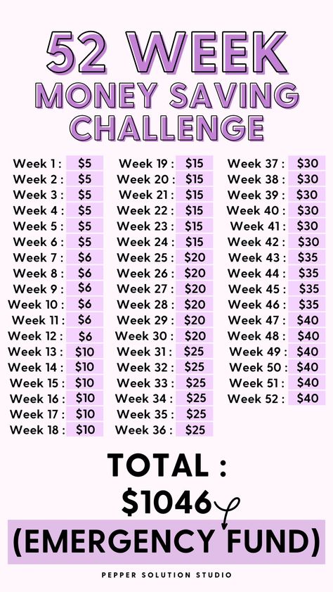 52 Week Money Saving Challenge Biweekly, Money Saving Tips Bi Weekly Pay, 52 Week Money Saving Challenge Printable, Year Savings Plan, Biweekly Savings Plan Low Income, Biweekly Savings Plan, Weekly Savings Plan, Build Savings, 52 Week Money Saving