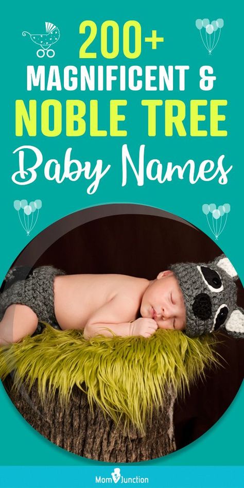 If you are inclined to find tree-inspired names for your little prince or princess, look no further. Here, we give you an exhaustive list of 200+ tree baby names for girls and boys that are sure to make your little one feel special. Tree Names, Tree Town, Old English Names, Princess Look, Laurel Tree, Old English Words, Names For Girls, Rowan Tree