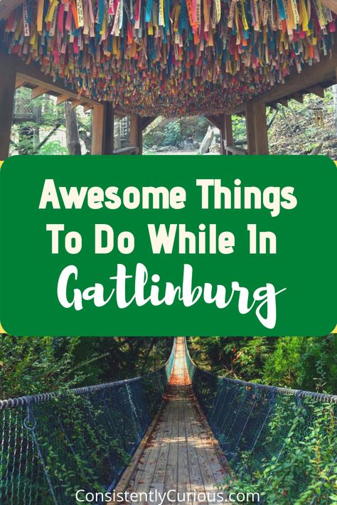 Things To Do In Gatlinburg, TN: Venturing Beyond the Strip Tennessee Family Vacation, Tennessee Gatlinburg, Gatlinburg Tennessee Vacation, Things To Do In Gatlinburg, Tennessee Road Trip, Smokey Mountains Vacation, Gatlinburg Vacation, Smoky Mountains Vacation, Tennessee Travel